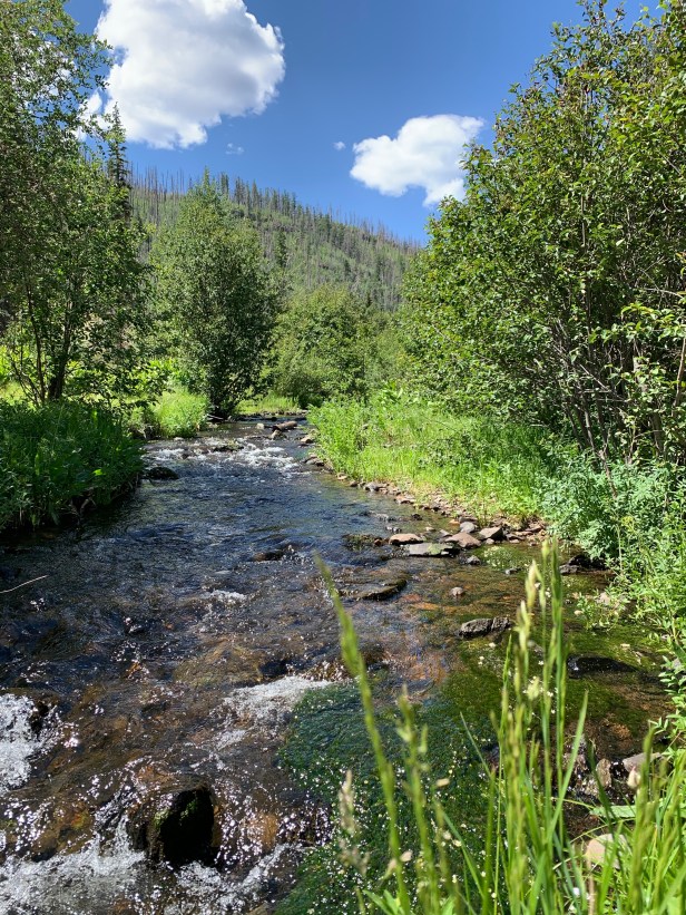 w0c52HRrQkChVChm+umyTQ